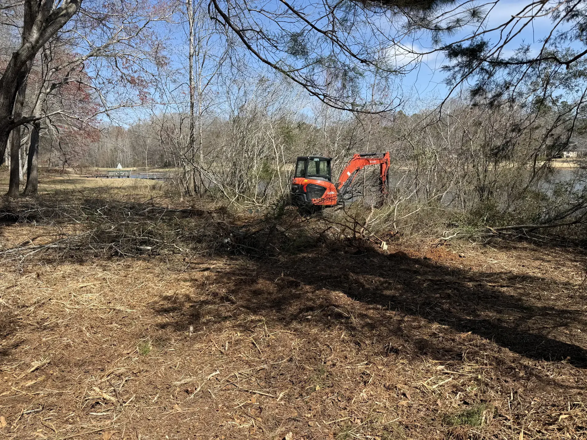 Excavator removing brush and reclaiming overgrown land