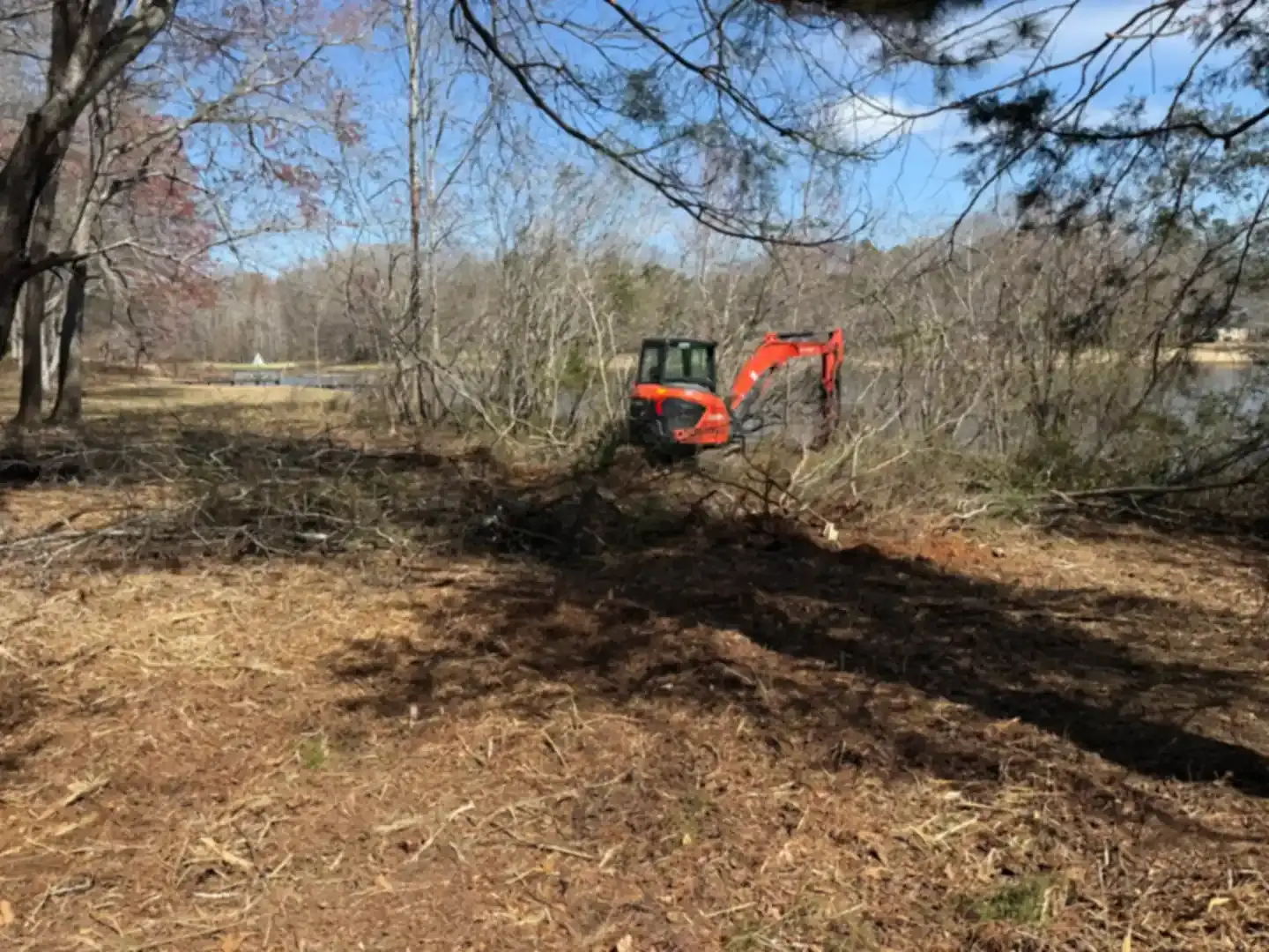 Excavator removing thick brush during property reclamation
