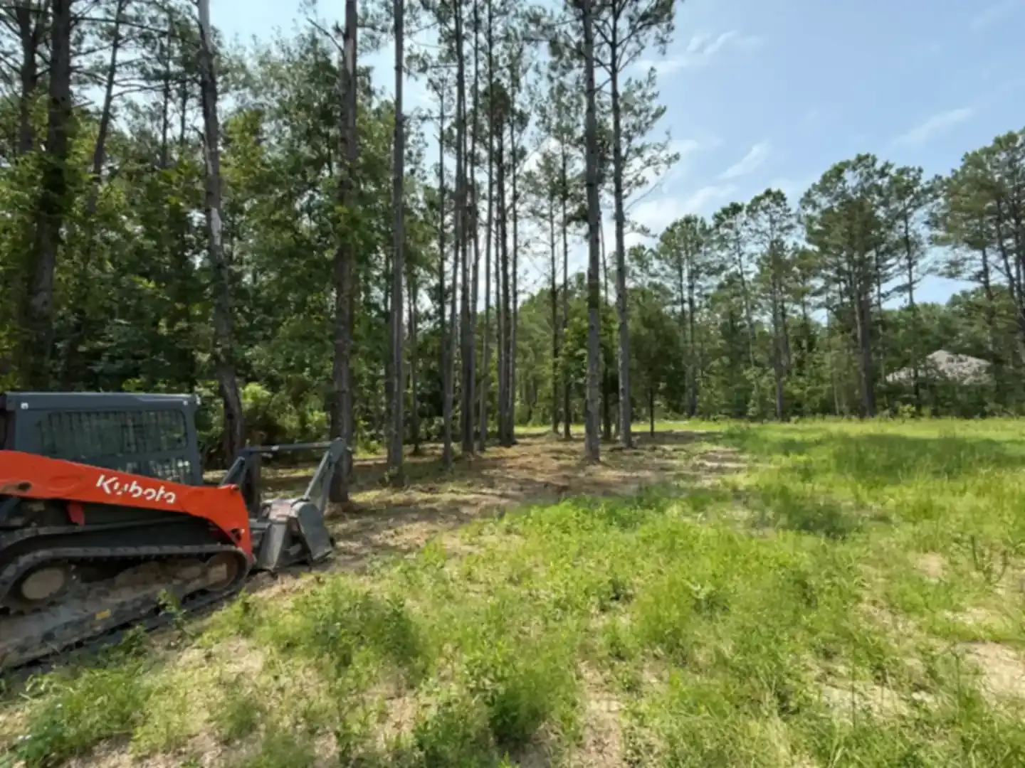 Open grass field and pine tree line on an East Alabama property worked by Rhino Landwork
